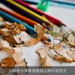 2025年小学体育教师工作计划：培养健康体魄与团队精神