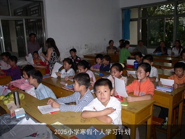 2025小学寒假个人学习计划