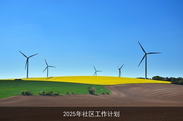 2025年社区工作计划