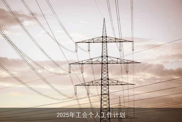 2025年工会个人工作计划