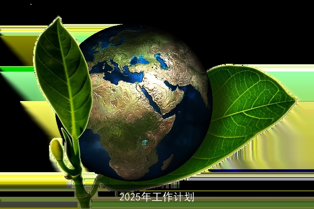 2025年工作计划
