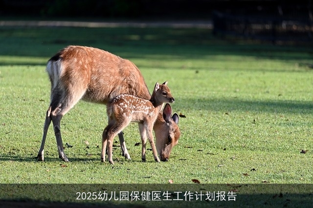 2025幼儿园保健医生工作计划报告