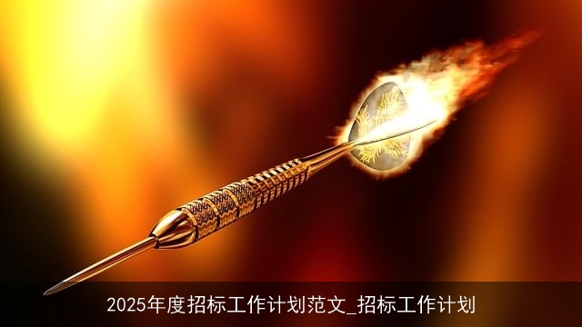 2025年度招标工作计划范文_招标工作计划