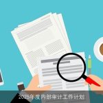 2025年度内部审计工作计划：构建高效前瞻的审计体系