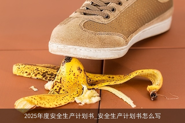 2025年度安全生产计划书_安全生产计划书怎么写