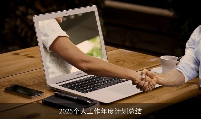 2025个人工作年度计划总结
