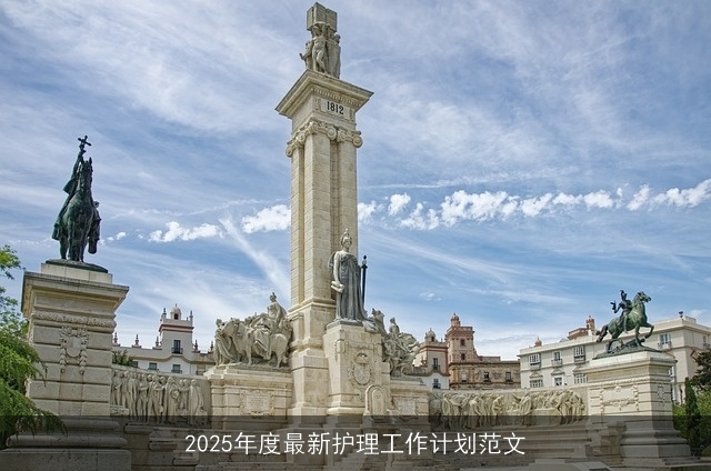 2025年度最新护理工作计划范文