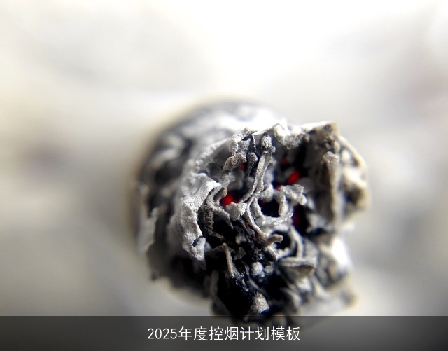 2025年度控烟计划模板