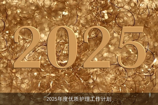 2025年度优质护理工作计划