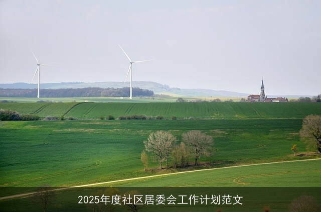 2025年度社区居委会工作计划范文