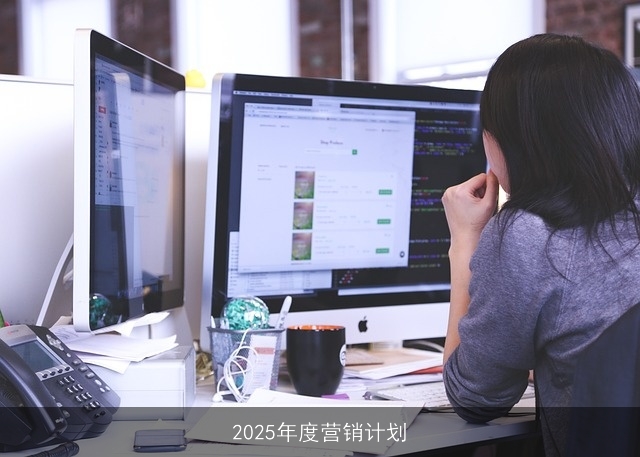 2025年度营销计划
