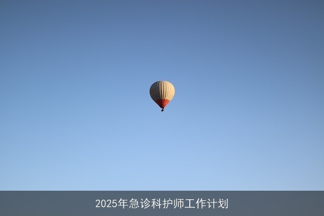 2025年急诊科护师工作计划