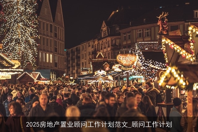2025房地产置业顾问工作计划范文_顾问工作计划