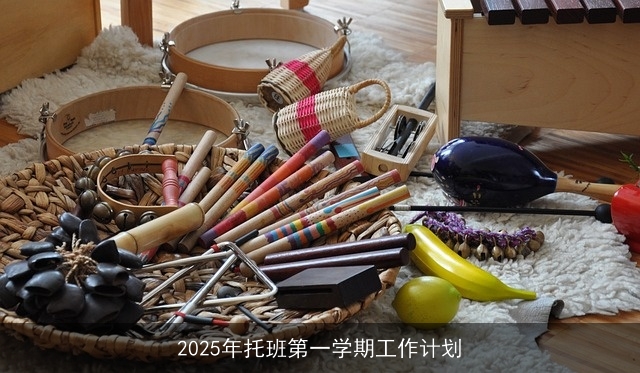 2025年托班第一学期工作计划
