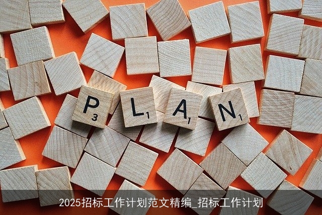 2025招标工作计划范文精编_招标工作计划