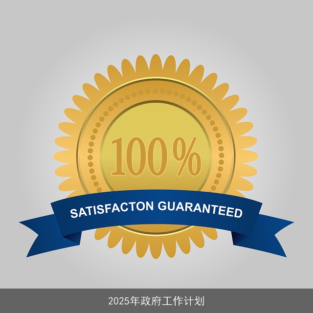 2025年政府工作计划