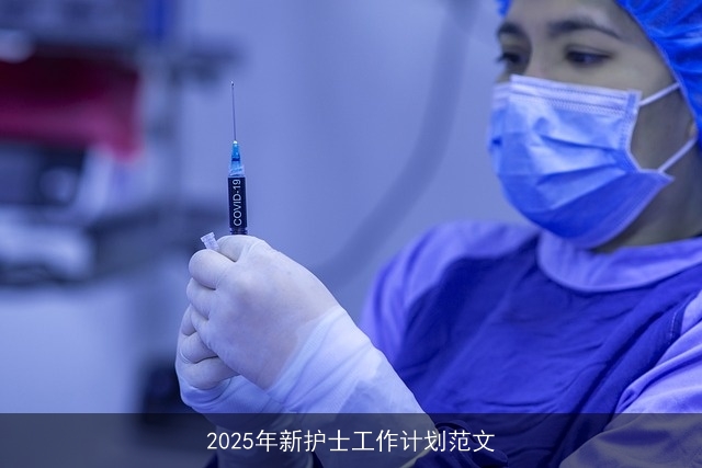 2025年新护士工作计划范文