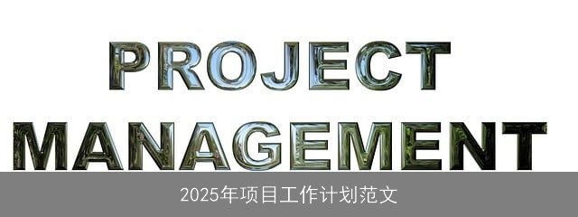 2025年项目工作计划范文