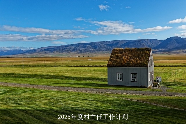 2025年度村主任工作计划