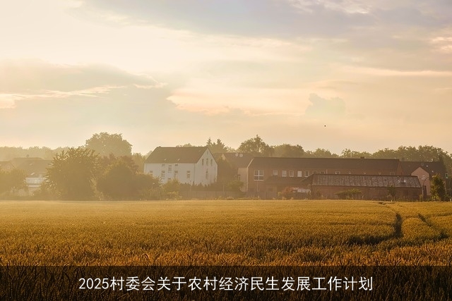 2025村委会关于农村经济民生发展工作计划