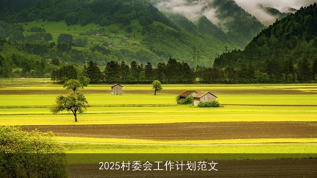 2025村委会工作计划范文
