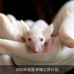 2025年校医学院全面发展战略规划