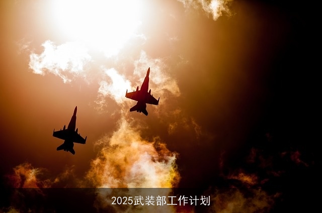 2025武装部工作计划