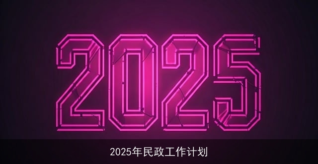 2025年民政工作计划