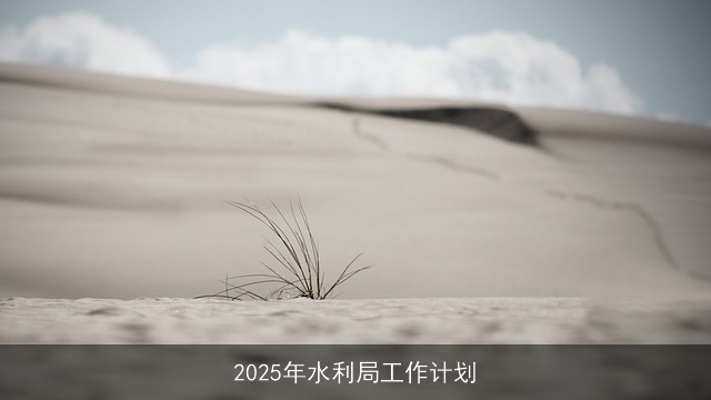 2025年水利局工作计划