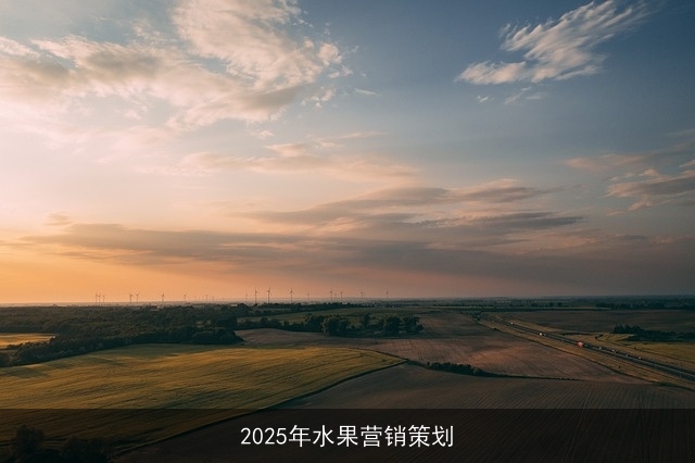 2025年水果营销策划