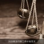 2025年法治政府建设：依法行政工作计划概览