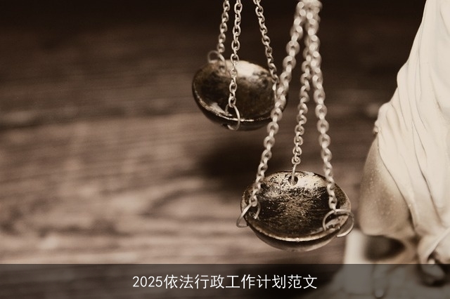 2025依法行政工作计划范文