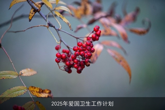 2025年爱国卫生工作计划