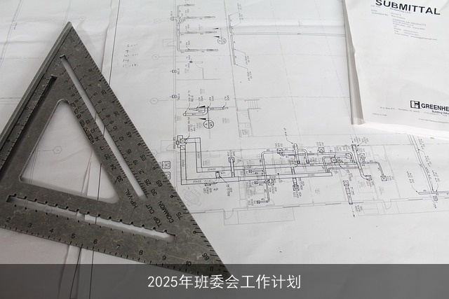 2025年班委会工作计划