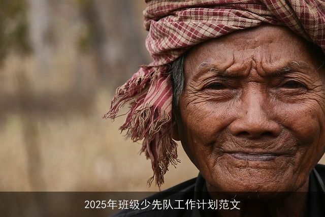 2025年班级少先队工作计划范文