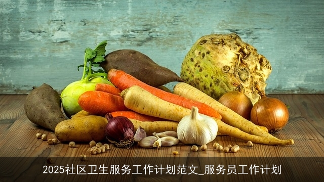 2025社区卫生服务工作计划范文_服务员工作计划