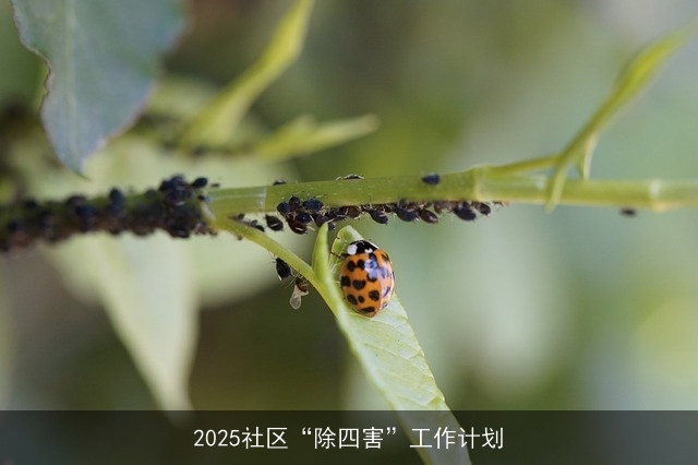 2025社区“除四害”工作计划
