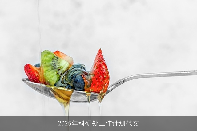 2025年科研处工作计划范文
