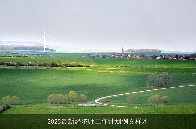 2025最新经济师工作计划例文样本