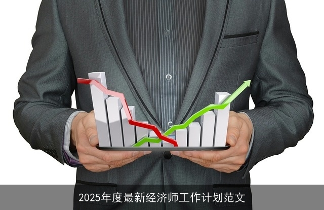 2025年度最新经济师工作计划范文