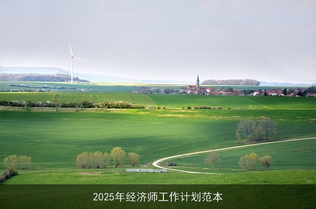 2025年经济师工作计划范本