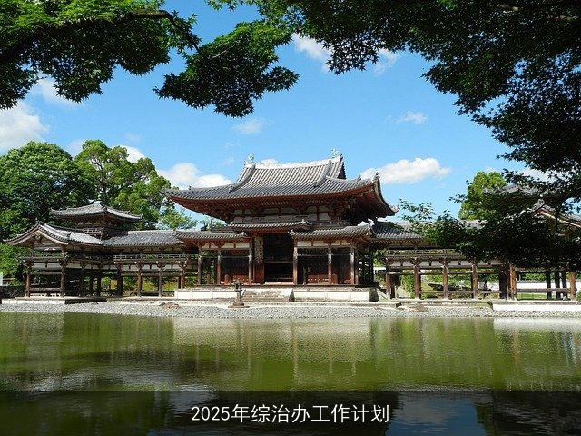 2025年综治办工作计划