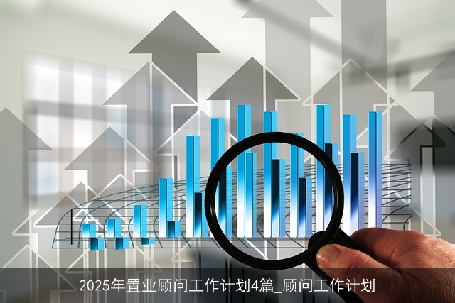 2025年置业顾问工作计划4篇_顾问工作计划
