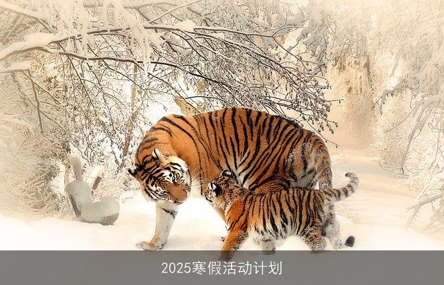 2025寒假活动计划