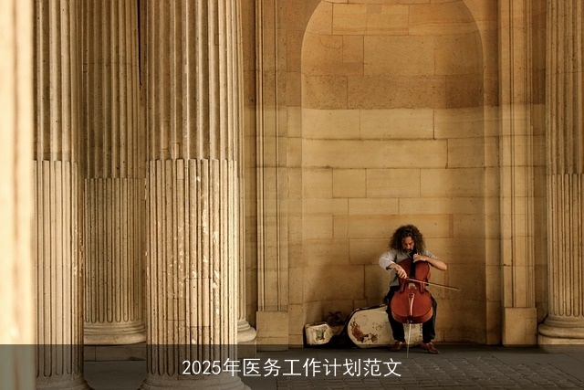 2025年医务工作计划范文