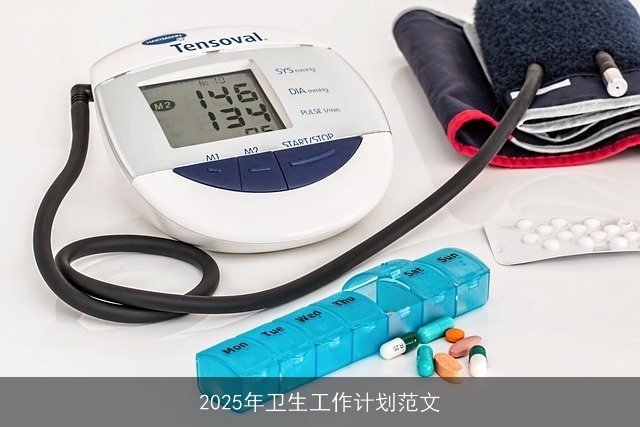 2025年卫生工作计划范文