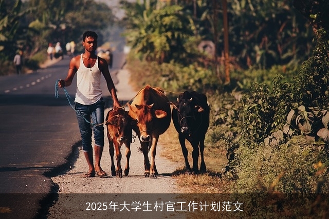 2025年大学生村官工作计划范文