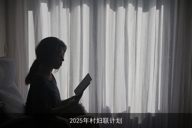 2025年村妇联计划