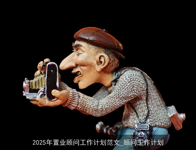 2025年置业顾问工作计划范文_顾问工作计划