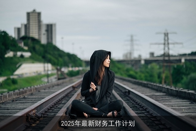 2025年最新财务工作计划